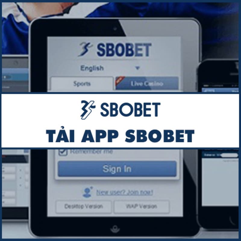 Ưu điểm của ứng dụng Sbobet 